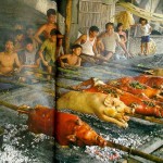 Parada ng Mga Lechon, Balayan Batangas, Fiesta Pictures and Videos