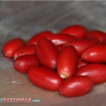 miracle fruit batangas
