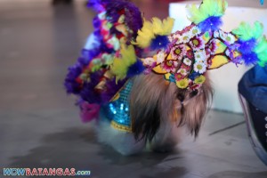 Pets in Flower Costume at SM City Batangas (49)