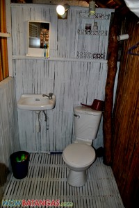 toilet and bathroom toilet and bathroom