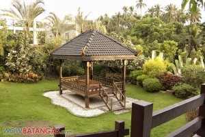 Cintai pocket garden Cintai pocket garden