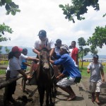 Horse Ride for Php 450