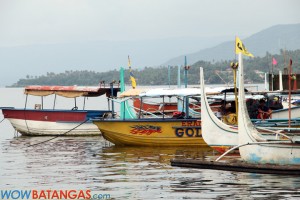 Boat Dock in Talisay is adjacent to Talisay Public Market