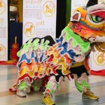 Dragon and Lion Dance Dragon and Lion Dance