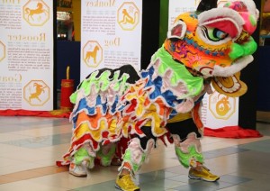 Dragon and Lion Dance