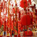 ampao tree ampao tree