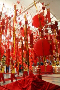 ampao tree