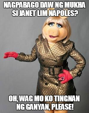 Janet Lim Napoles - pork barrel scam